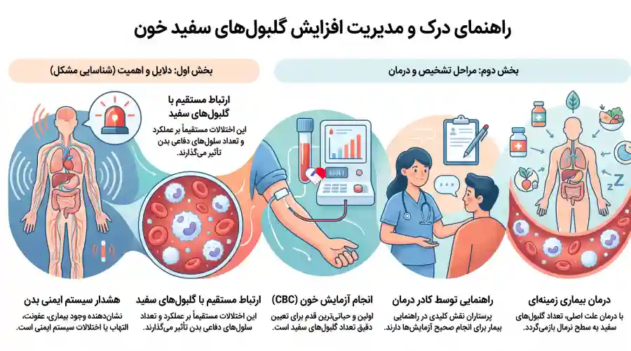 مدیریت افزایش گلبول سفید مدیریت افزایش گلبول سفید