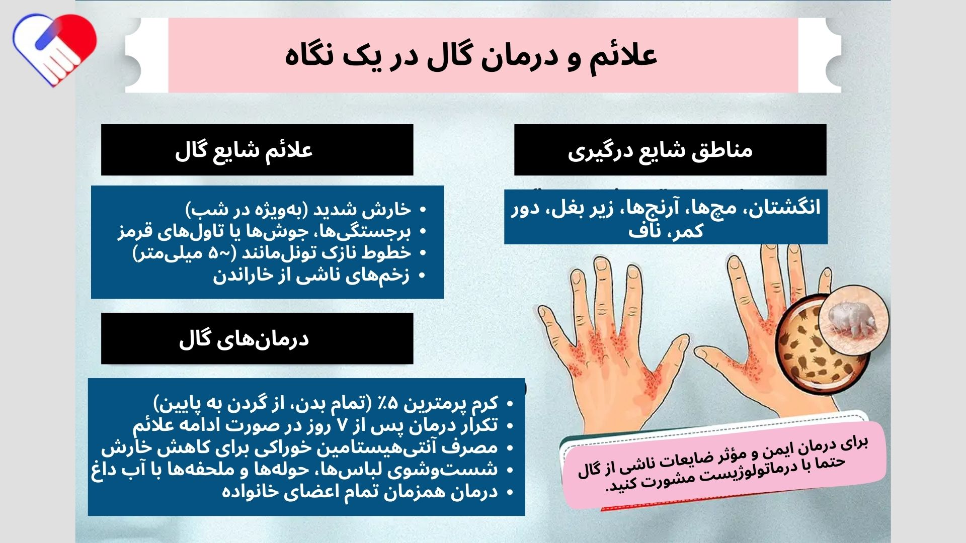 گال چیست؟ همه چیز درباره حشره جرب 5 علائم و درمان گال در یک نگاه