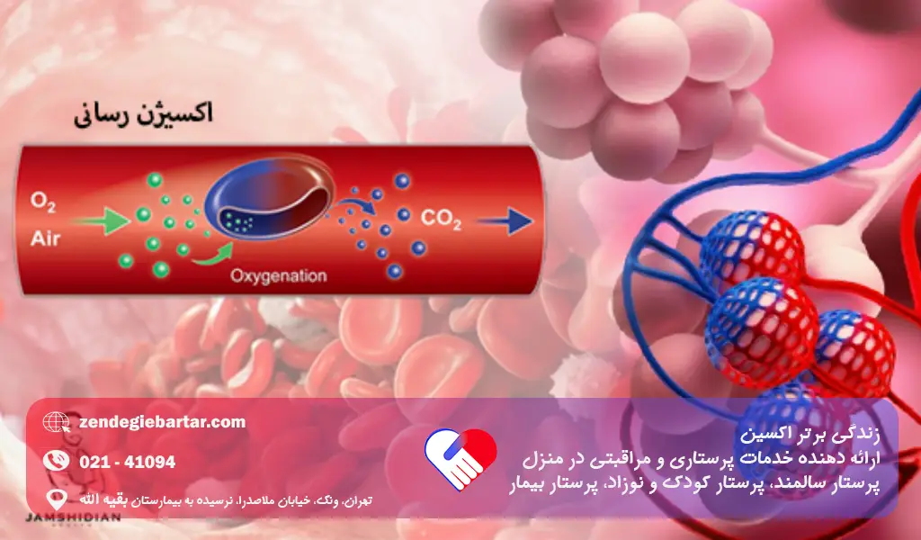 اکسیژن خون نرمال چیست چقدر باید باشد؟ 1 علت کمبود اکسیژن خون