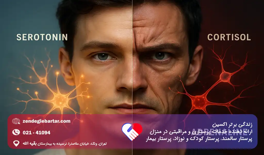 چگونه اضطراب و استرس را فوری کاهش دهیم؟ ۵ راه تضمینی 6 هورمونها نقش کلیدی در ایجاد و کنترل استرس دارند و تفاوت بین استرس قابل مدیریت و اضطراب مزمن معمولاً به تعادل این مواد شیمیایی مرتبط است.